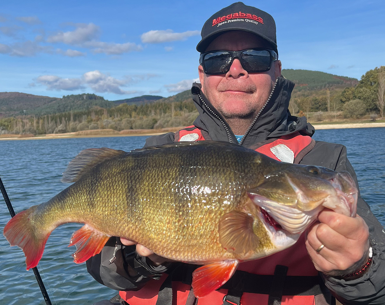 Geecrack Bellows Stick 2.8 inch